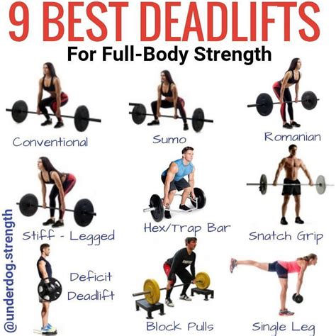 Here Are 9 Deadlift Variations You Can Try For Full Body Strength 1 The Conventional