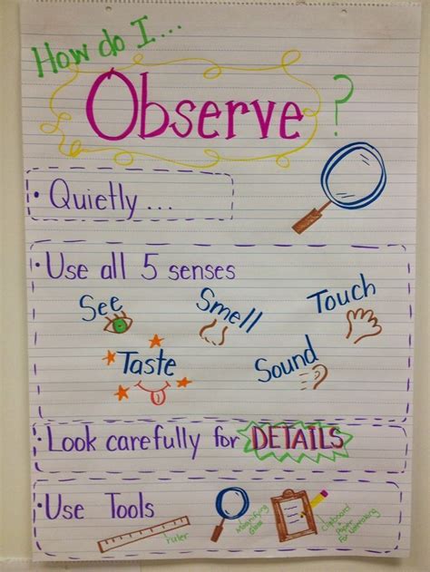 Science Observers Anchor Chart Great Visual For Your Special Education