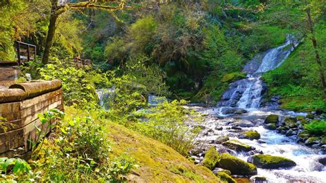 Sweet Creek Falls Hike Near Mapleton Oregon Free Arenas