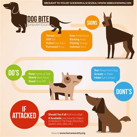 Dog Bite Prevention Facts And Infographic Goodwin And Scieszka