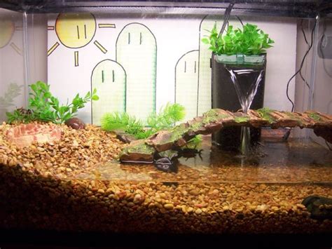 They also require a deep layer of sand in their cage so they can bury underground to. Fiddler crabs | Aquarium | Pinterest | Crabs, Tanks and ...