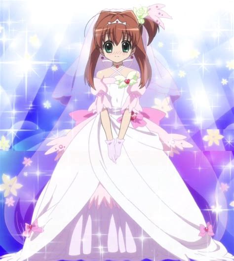 Akari Sakura Jewel Pet Tinkle Wiki Fandom Cute Anime Character