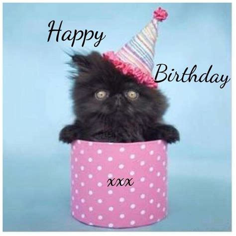 Happy Birthday Kitten Birthday Cat Birthday Happy Birthday Pictures