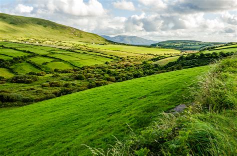 Green Countryside On The Emerald Isle Dingle Peninsula Ireland Oc