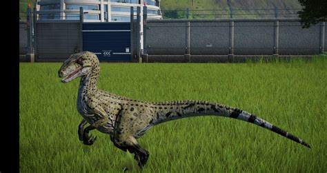 Wwd Utah Raptor Skin For Velociraptor At Jurassic World Evolution Nexus Mods And Community