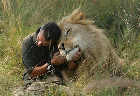 South Africas Lion Whisperer Gets Up Close With Big Cats