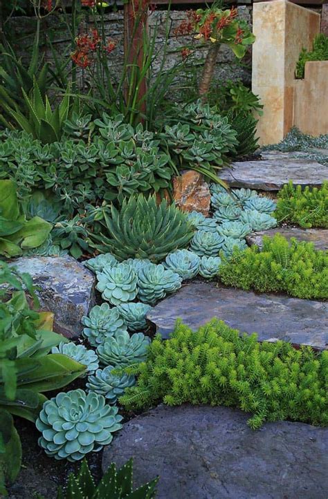 40 Brilliant Ideas For Stone Pathways In Your Garden Succulent