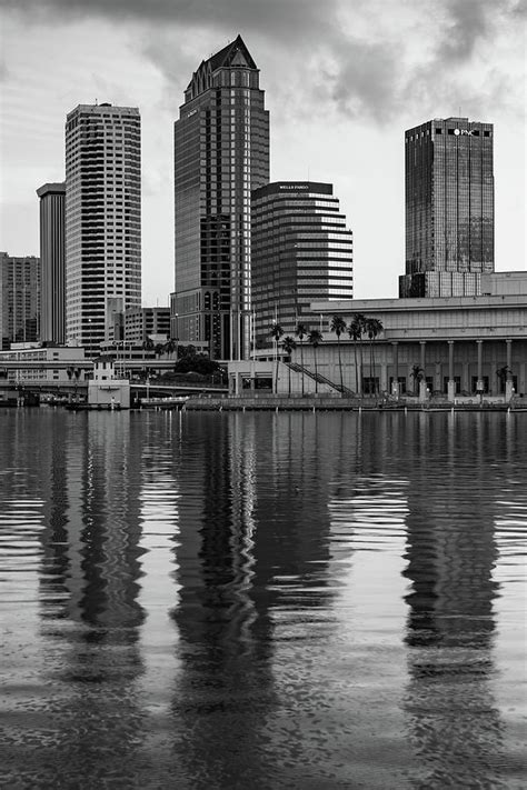 Tampa Bay Skyline Reflections And Cityscape Black And White