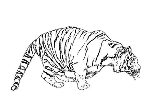 Coloriage Des Tigres Grande Collection Imprimer Ou T L Charger
