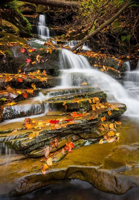 Fall Ricketts Glen State Park Benton Pa Us Autumn Waterfalls