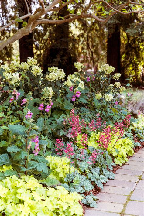 Discover new landscape designs and ideas to boost your home's curb appeal. Shade Garden Ideas | Shade garden, Shade flowers, Garden