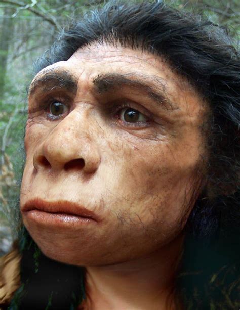 The Last Human Human Species Ancient Humans Human