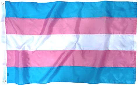 lgbtq flags celebrating transgender flag
