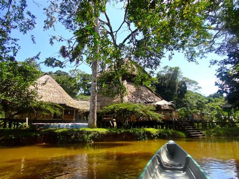 El Oriente Ecuador Amazon Rain Forest