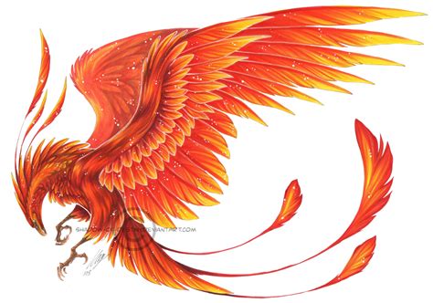 Phoenix clipart realistic pictures on Cliparts Pub 2020! 🔝