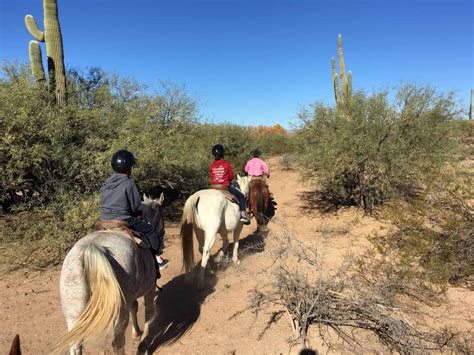 The Bestthings To Do In Scottsdale With Kids In 2022 Fun Things To