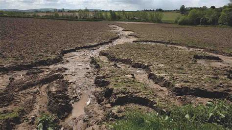Impact Of Soil Degradation Managing Plant Nutrients Year Of Soils