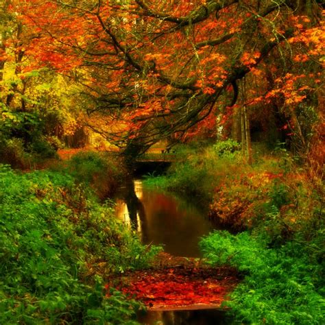 Autumn Reflections Kilkenny City Ireland Scenery Wonders Of The