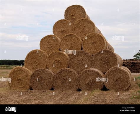 Stack Of Round Hay Bales Norfolk Uk Stock Photo Alamy