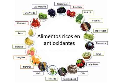 Conoce Los Tipos De Antioxidantes