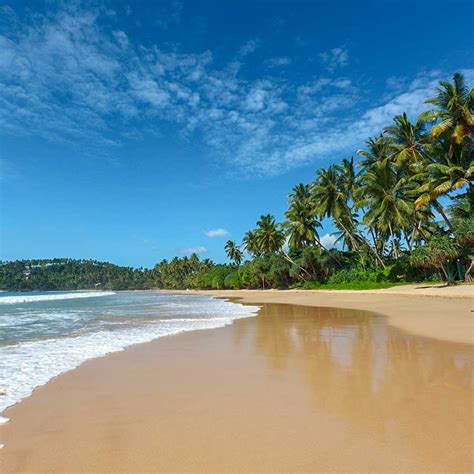 Top Beaches In Sri Lanka Beach And Sunsets Steuart Holidays
