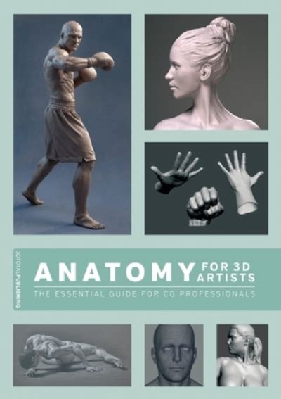 Pdf Anatomy For 3d Artists The Essential Guide For Cg Professionals
