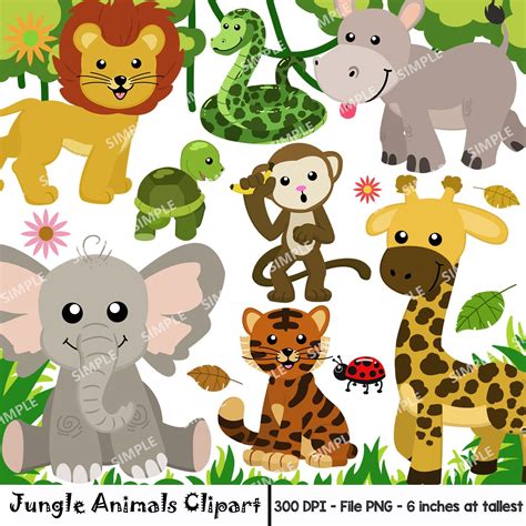 Jungle Animal Clipart Watercolor Safari Animals Clipart Animal
