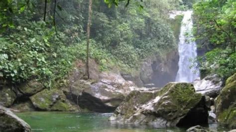 Parque Nacional Pico Bonito La Ceiba explora la belleza natural de este lugar hondureño