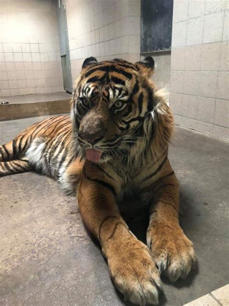 Bleeph Trip To My Local Zoo Today Rblep