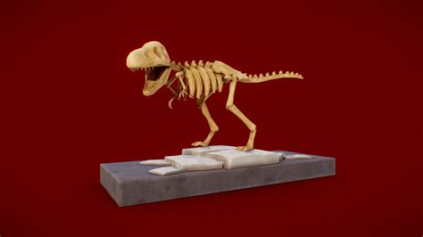 Trex Skeleton 3d Model By Batuhan13 19e1686 Sketchfab