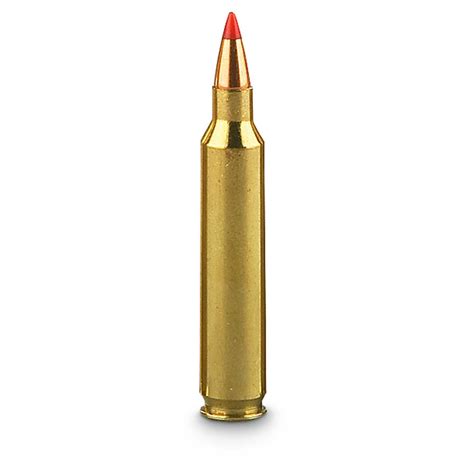 100 Rounds Hornady V Max 32 Grain 204 Ruger Ammo 178624