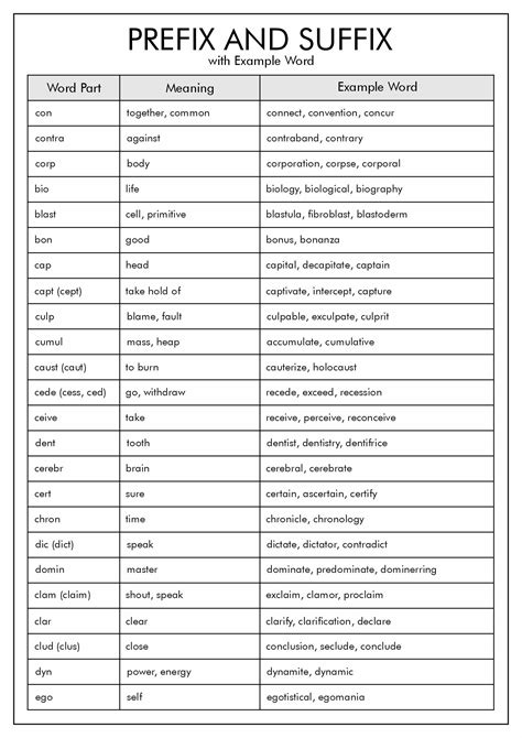Prefix Suffix And Root Words List Hot Sex Picture