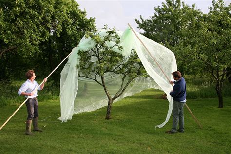 Buy Haxnicks Fruit Tree Protector Ultra Fine Insect Bird Bug Barrier