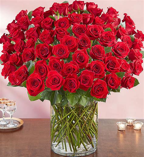 100 Premium Long Stem Red Roses Rutherford Nj Florist Same Day