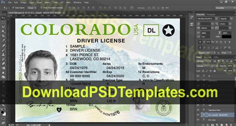 Free Download Colorado Drivers License Template Psd C