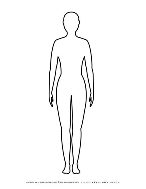 Female Body Outline Planerium