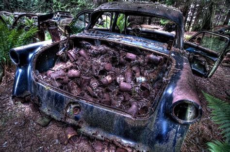 Forest Full Of Abandoned Cars Photos Abc News