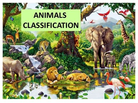 Classifying Organisms General Science Quiz Quizizz