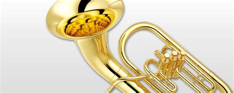 Yep 211 Overview Euphoniums Brass And Woodwinds Musical