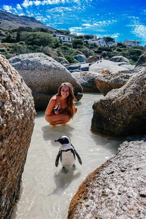 Boulders Beach Guide Visiting The Penguin Beach In Cape