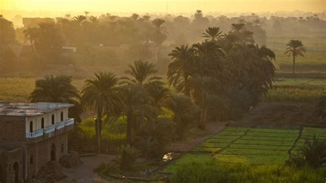 farming for the future egyptian biodynamic agriculture our world