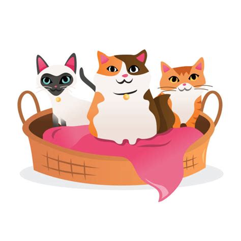 Empty Pet Bed Illustrations Royalty Free Vector Graphics And Clip Art