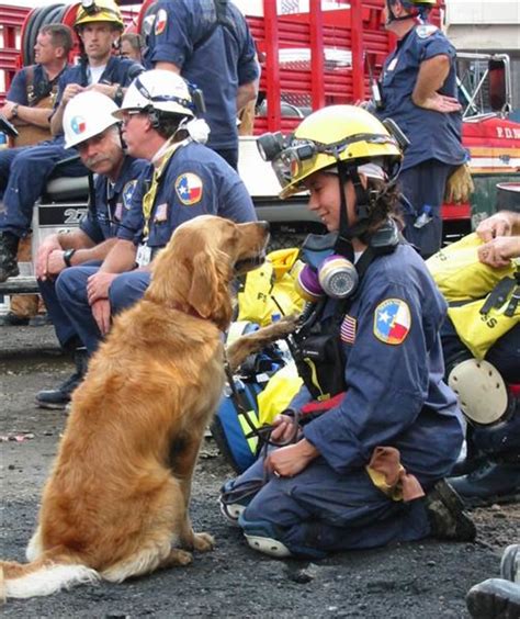 Bretagne Last 911 Ground Zero Search Dog Is Funny Food Focused As Ever