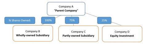 What Is A Wholly Owned Subsidiary Partly Owned Subsidiary Or An Equity