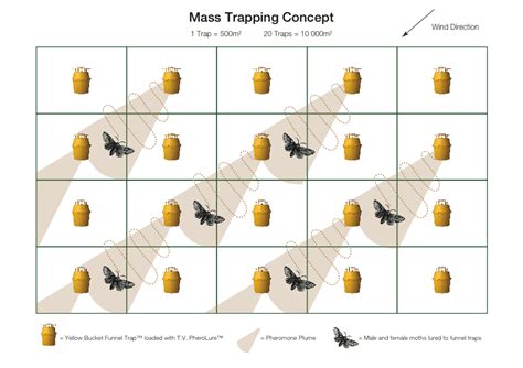 Trapall Mass Trapping Pest Management Insect Science