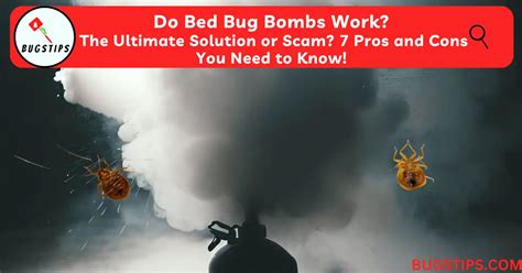 Do Bed Bug Bombs Work The Ultimate Solution Or Scam 7 Pros And Cons