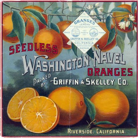 Seedless Washington Navel Oranges Brand Riverside California Fruit