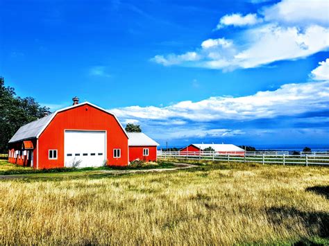 How To Buy A Farm In The Uk A Guide To Starting A Farming Business