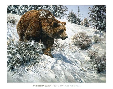 First Snow Bear Paintings Wildlife Paintings Wildlife Art Ours
