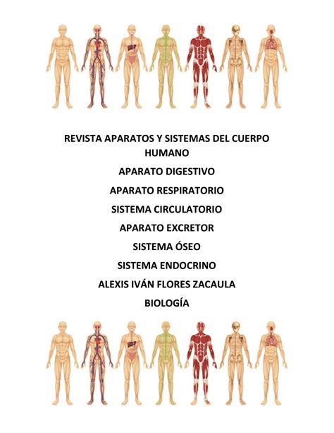 Aparatos Y Sistemas Del Cuerpo Humano By Ivan Fz Issuu